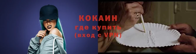мдпв Дмитров