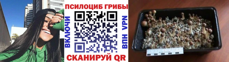 Псилоцибиновые грибы Magic Shrooms  Новомосковск 